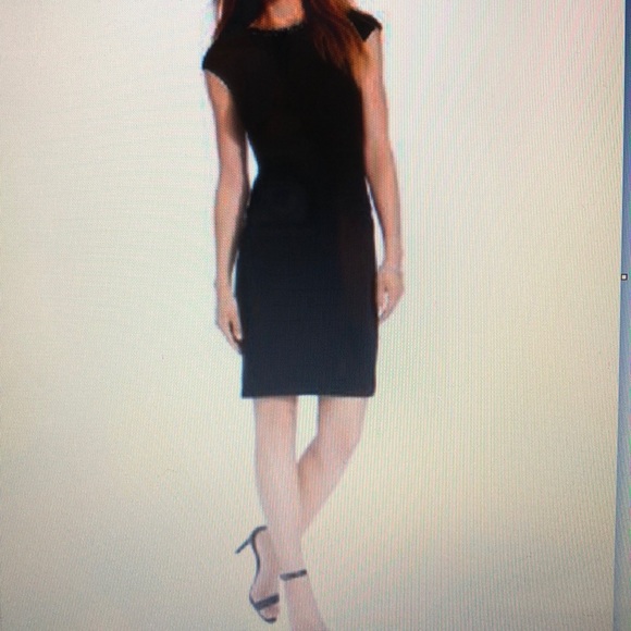 Lauren Ralph Lauren Petite Embellished Crew-Neck Dress - Picture 4 of 6